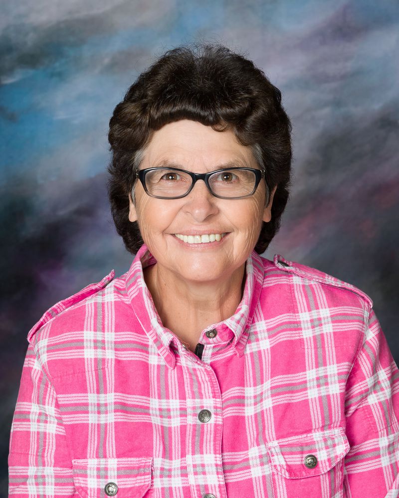 Shelley Pratt : Custodian