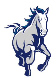 Fillmore Middle School Mascot - a grey, blue and white bronco.